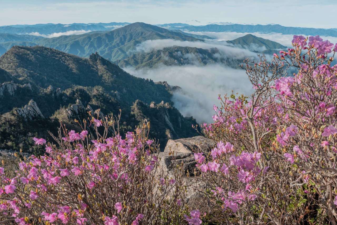 봄의 설악산을 오르는 케이블카