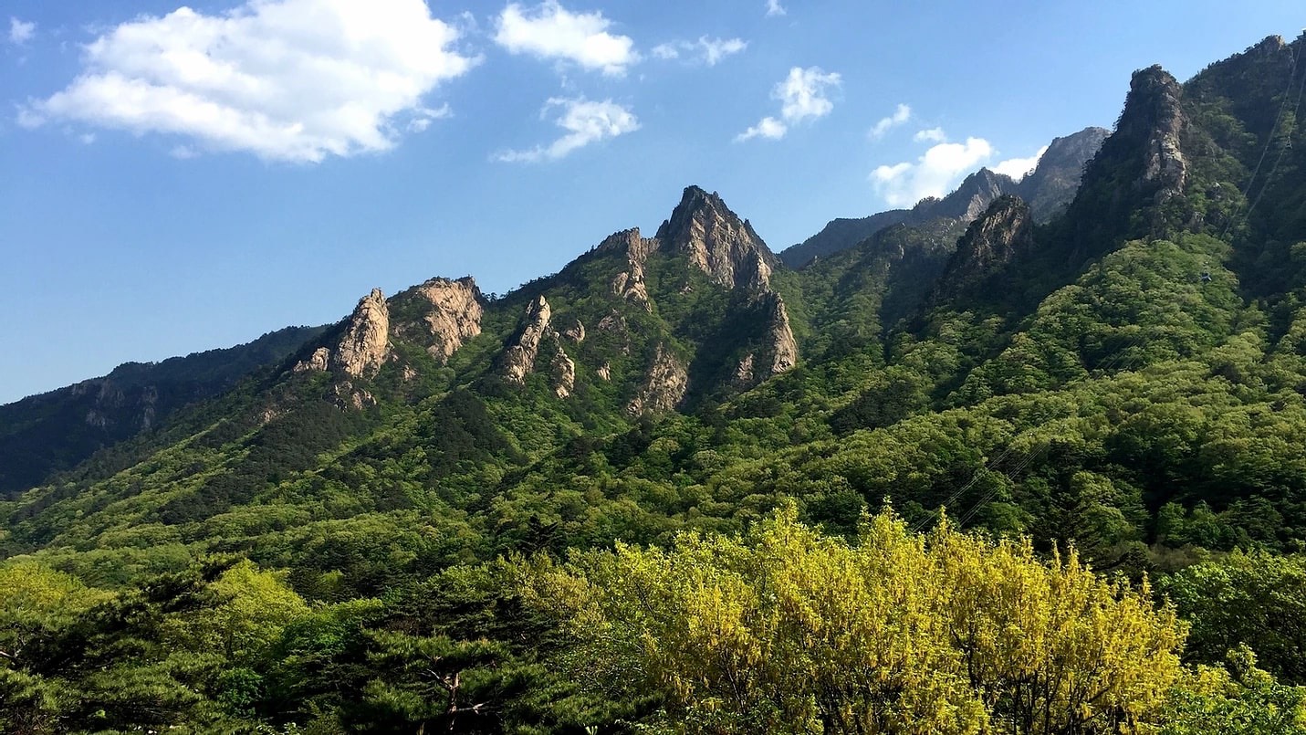 설악산국립공원의 푸른 능선과 바위 봉우리